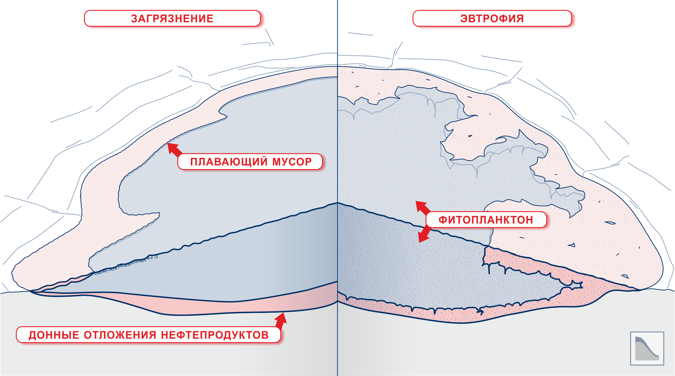 Загрязнение и эвтрофия в пруду