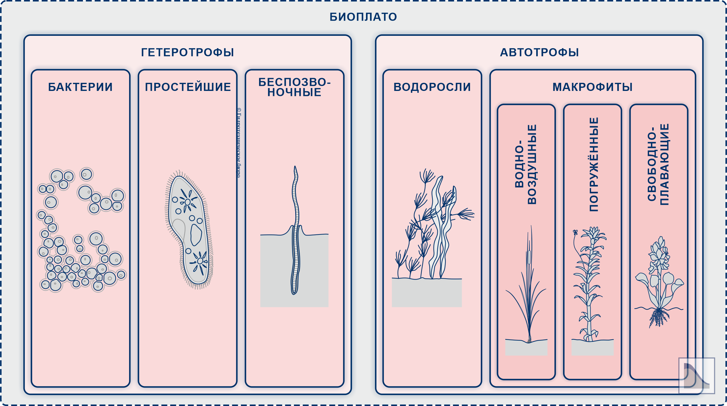 Биологическая схема биоплато
