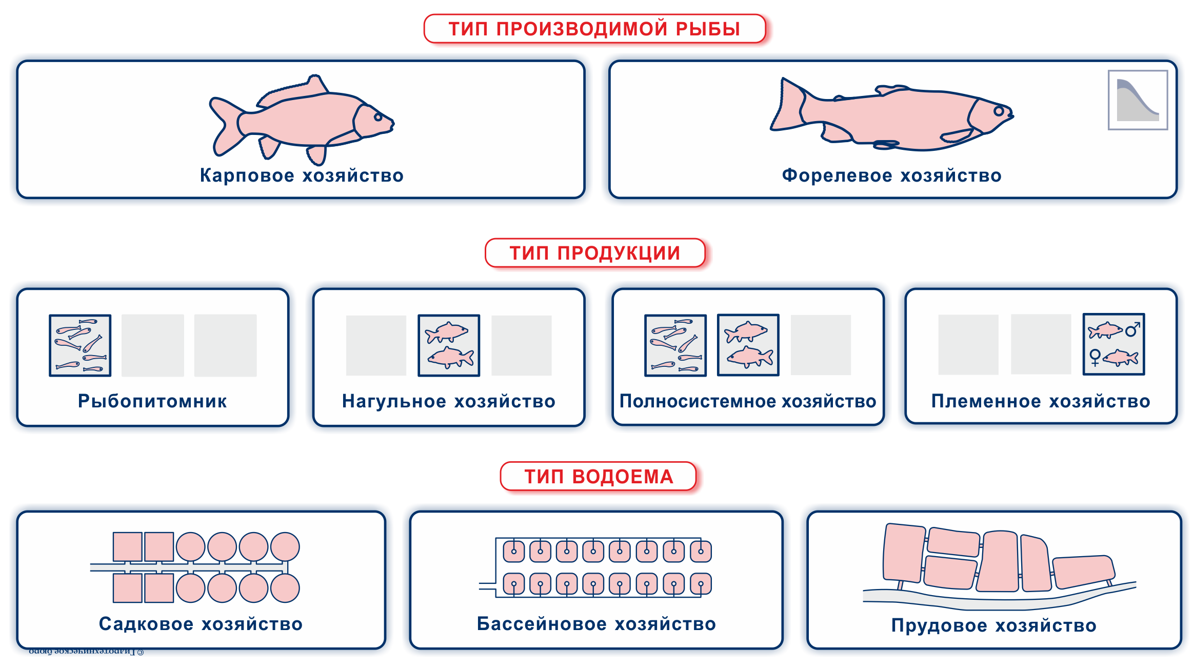 Основные классификации рыбоводных хозяйств