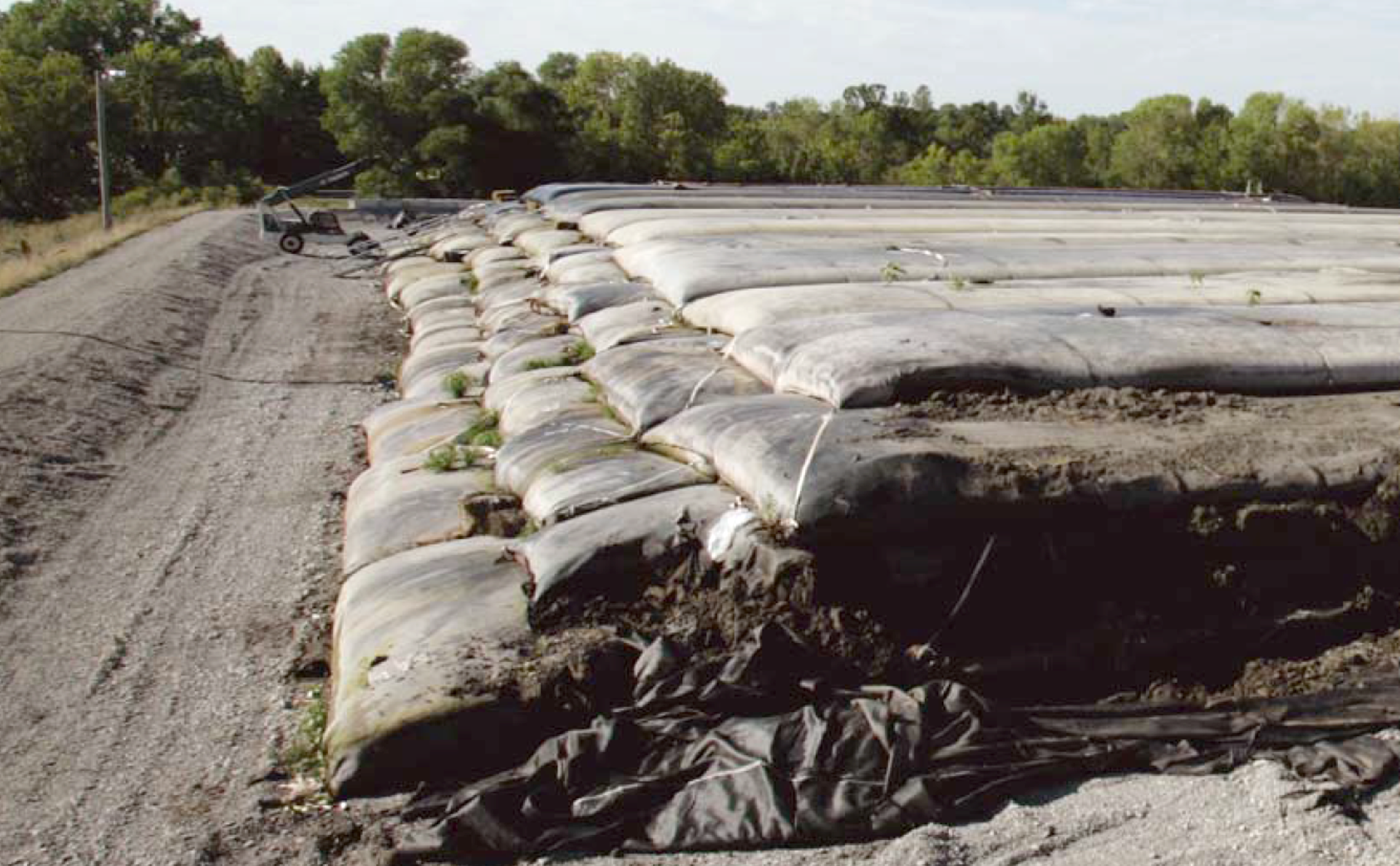 Общий вид геотубов (фотография «TenCate Geosynthetics Netherlands BV»)